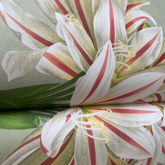 Meet your Posher, Andrea - Picture 3 of 4